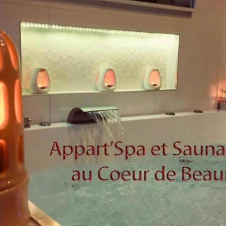 Appart' Spa Et Sauna Privatif Au Coeur De Beaune Kültér fotó