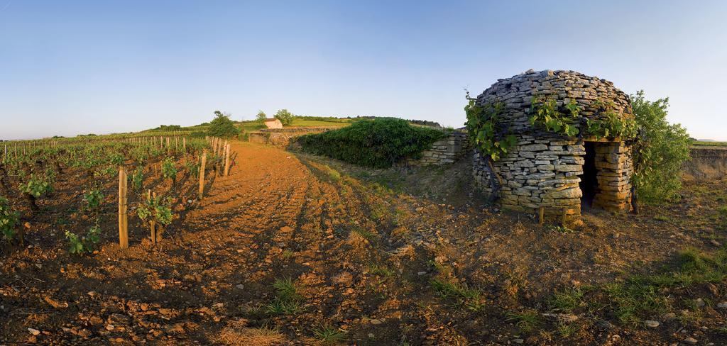 Appart' Spa Et Sauna Privatif Au Coeur De Beaune Kültér fotó